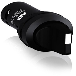 ABB Przełącznik obrotowy dwupozycyjny C2SS1-10B-11 1SFA619200R1076
