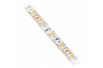 GTV Taśma Flash 3528, 300 LED zimny biały, 24W 4,8W/mb 8mm, rolka 5mb, 12V wodoodporna
