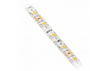 GTV Taśma Flash 3528, 300 LED ciepły biały, 24W 4,8W/mb 8mm, rolka 5mb, 12V wodoodporna