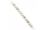 GTV Taśma Flash 2835MW, 300 LED neutralny biały, 3,8W/m, bez żelu 8mm, Rolka 50m, 12V LD-2835MW-300-20-NE-50
